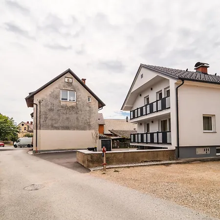 House Cerklje *